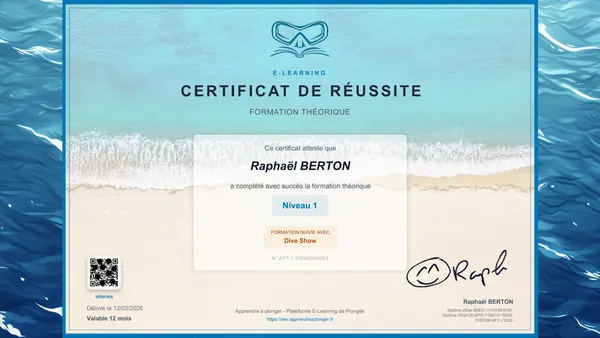 Obtenez votre attestation théorique de plongée en ligne