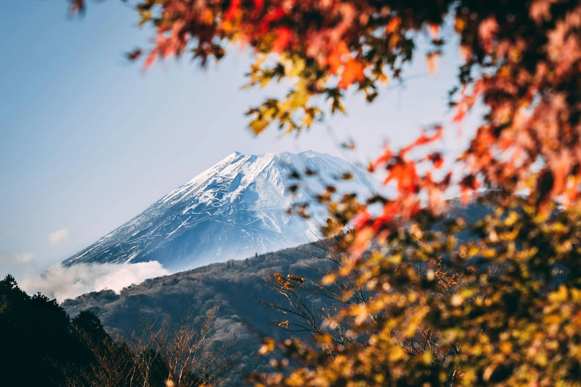 Japon