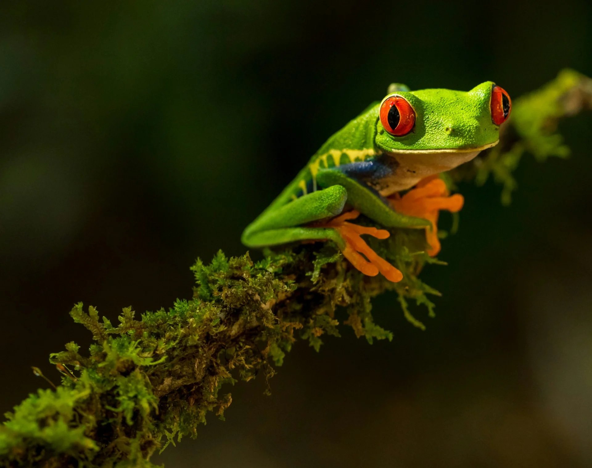 Costa Rica