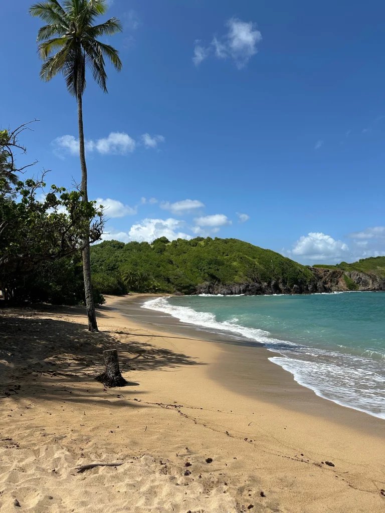 Martinique