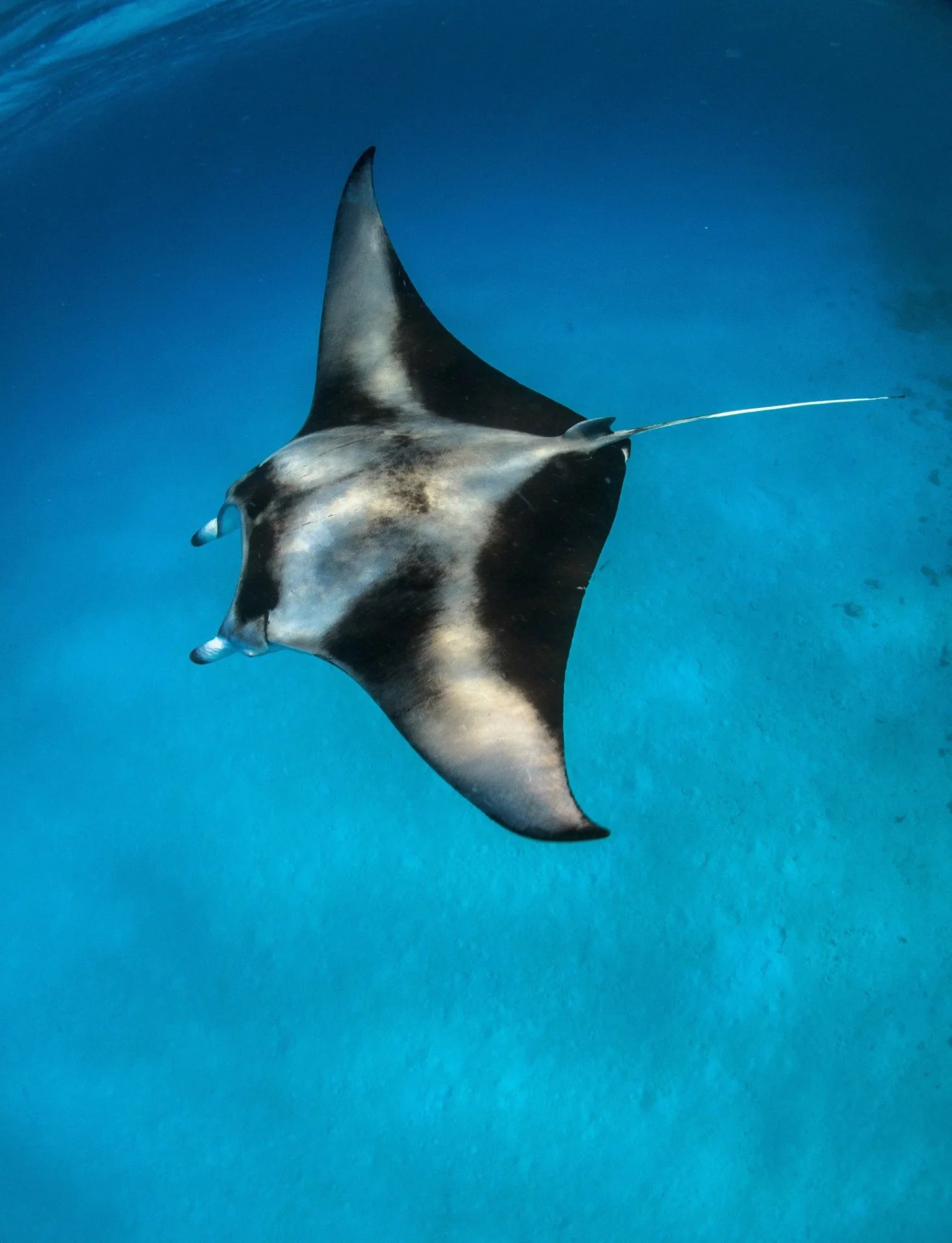 Naushad Mohamed, Dhigurah, Maldives