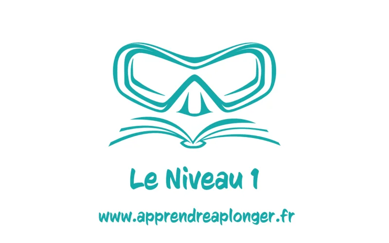 Niveau 1
